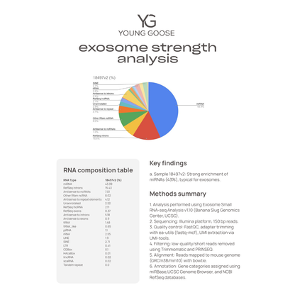 Vampire Exosomes Serum - The Curated Skin Studio